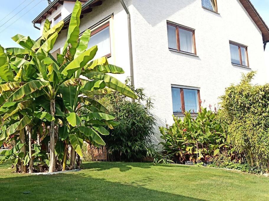 Ferienwohnung Wiesental 89331 Burgau, Wiesentalstrasse 1 Eksteriør billede