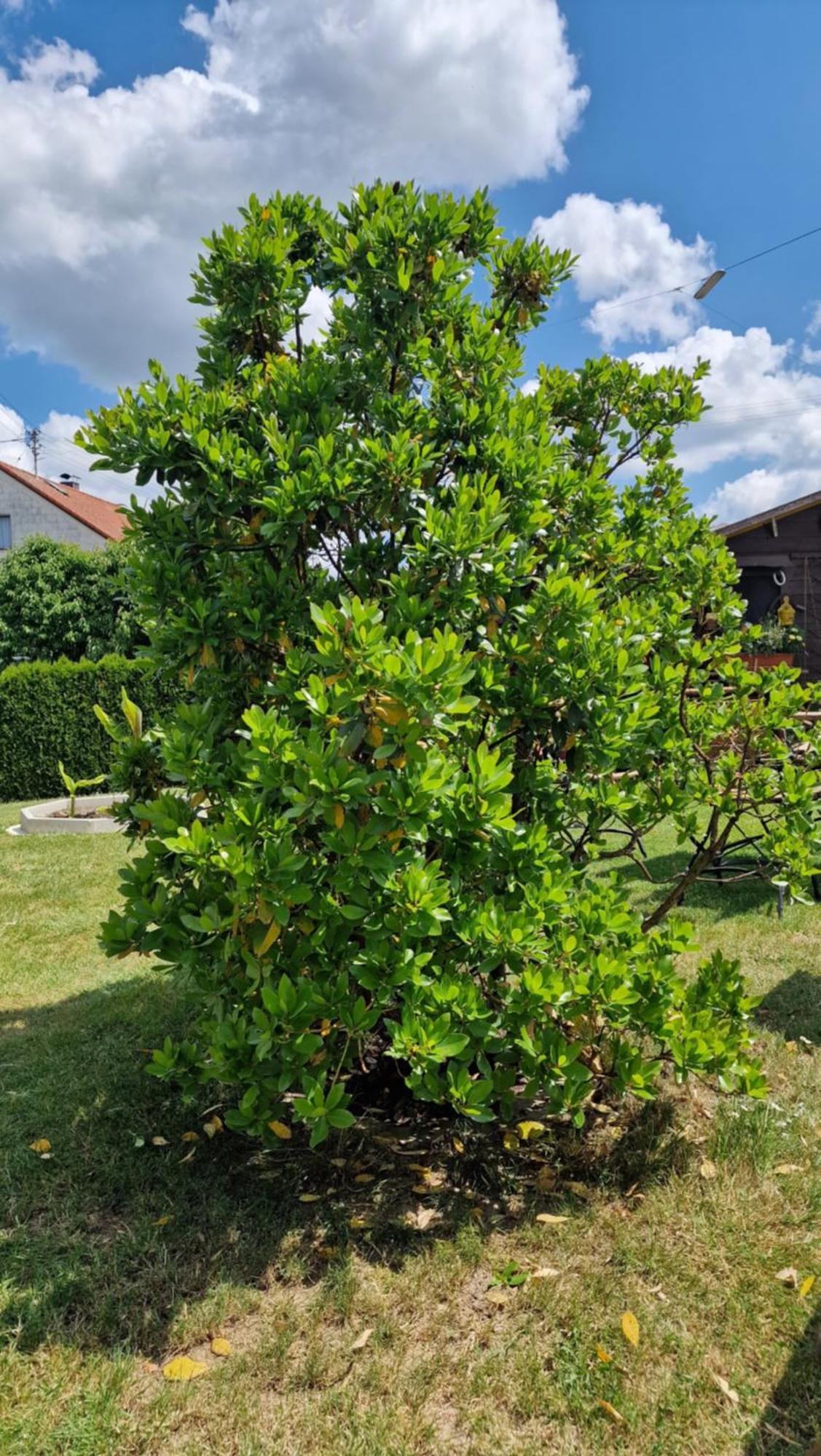 Ferienwohnung Wiesental 89331 Burgau, Wiesentalstrasse 1 Eksteriør billede
