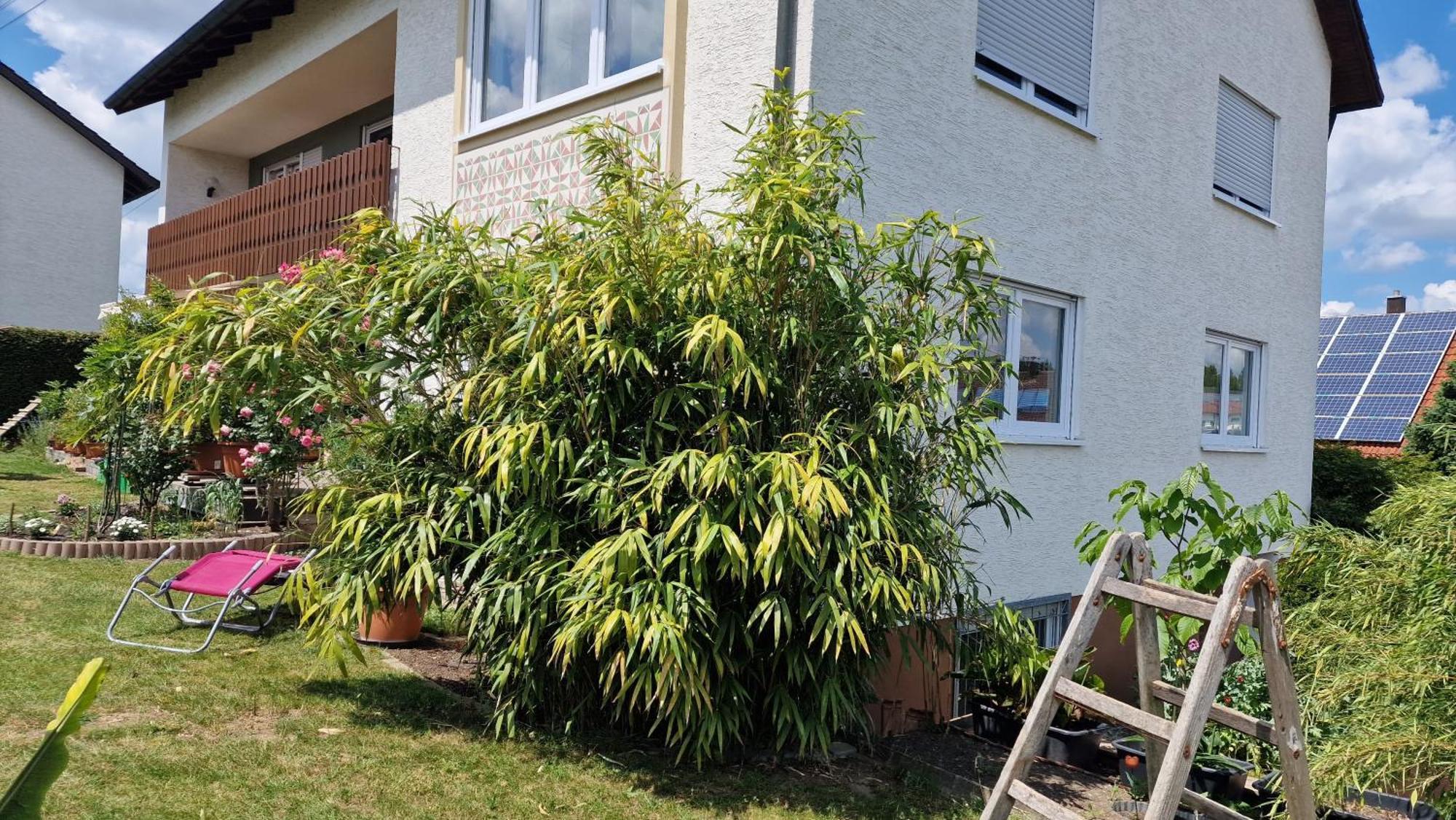 Ferienwohnung Wiesental 89331 Burgau, Wiesentalstrasse 1 Eksteriør billede